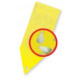 Frecce di colla gialla Stopset