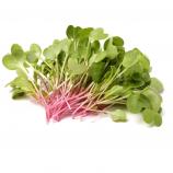 Set di microgreens