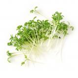 Set di microgreens