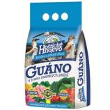 Guano