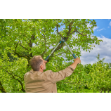 Gardena Forbici da potatura EasyCut L, a doppio taglio, ideali per il legno fresco