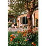 Casetta per uccelli Cosy bird house, rosso toscano, 18 cm
