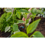 Gardena MDS Irrigatore a goccia in linea 2 l/h 13317-20