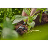 Gardena MDS Gocciolatore in linea, con compensazione della pressione