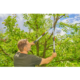 Gardena TeleCut Basic, forbici telescopiche per legno verde