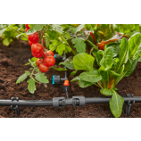 Raccordo a T Gardena 1/2" – 3/16"