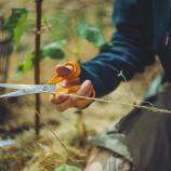 Fiskars Forbici universali, 21 cm 1075031