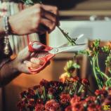 Fiskars Forbici universali per mancini, 21 cm 1075035