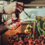 Fiskars Forbici universali per mancini, 21 cm 1075035