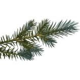 Albero di Natale artificiale, abete argentato con supporto in metallo