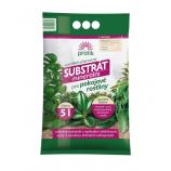 Forestina Profík substrato minerale per piante da interno