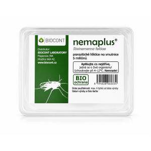 Nemaplus: nematodi parassiti contro le mosche della frutta