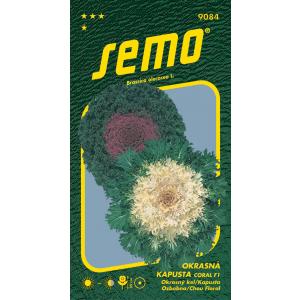 Semi Cavolo ornamentale Coral F1 mix 20s