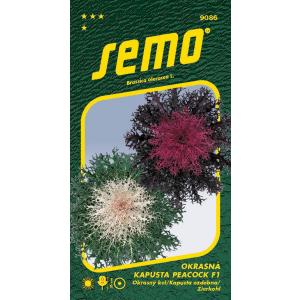 Cavolo da semina ornamentale Peacock F1 mix 20s