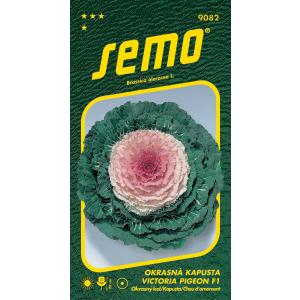 Semi di cavolo ornamentale Victoria Pigeon F1 20s