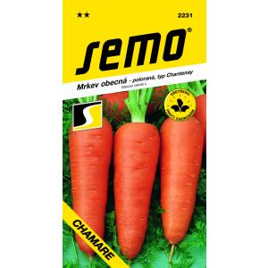 Semi di carota tipo Chamare Chantenay semiduri 3g