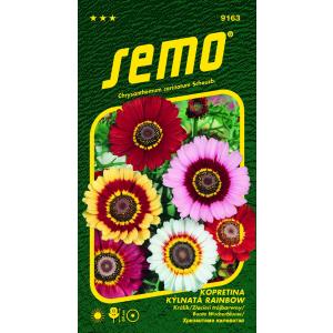 Semi di margherita Miscela arcobaleno 0,5 g