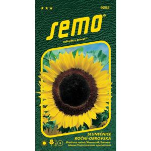 Semi di girasole gigante annuale 2g