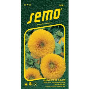Semi di girasole Orsetto 1g