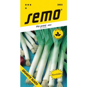 Semi di porro estivo Gigante suizo 0,2 g