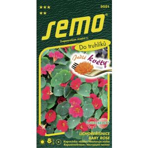 Semo Cappuccino più grande Baby Rose 2g