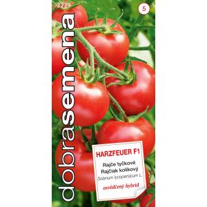 Semi buoni Pomodoro Harzfeuer F1 10s