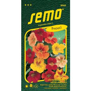 Semi Cappuccino più grande Miscela di germogli Grande 2g