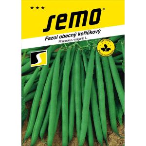 Semi di fagioli verdi Gama senza fibre 20g