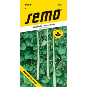 Semi di cetriolo indiano Kalabasa lungo 3g