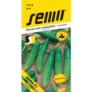 Seme di cetriolo Bara F1 grezzo 2g