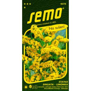 Semi di limone Statica sinuata Gold Coast giallo 0,5g