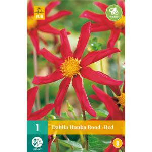 Georgina HONKA ROSSO "B"