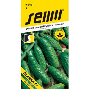 Semi di cetriolo Blanka Blanka F1 1,5 g