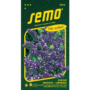 Semi di limone Statica sinuata Blu scuro viola 0,5g