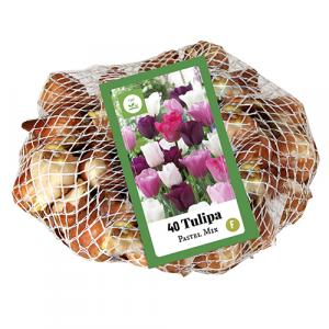 Miscela di tulipani pastello 40 bulbi