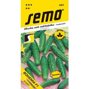 Semo Cetriolo sottaceto Bohémia F1 a buccia spessa 2 g