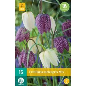 Fritillaria Meleagris Mix "C"