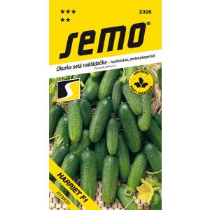 Seme Cetriolo Harriet F1 partenocarpico, denso 1,5 g