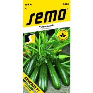 Seme Zucca Sensation F1 leggermente reticolato 1,5g