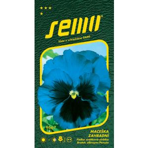 Semi Garden viola del pensiero blu con occhio 0,3g