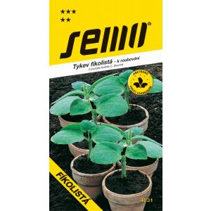 Zucca da seme per innesto SM CF 106 15s