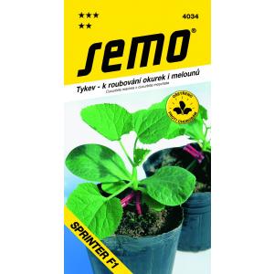 Zucca da innesto Seed Sprinter F1 15s