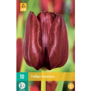 Mascara Tulipano "C"