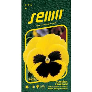 Semi Garden viola del pensiero giallo con occhio 0,3g