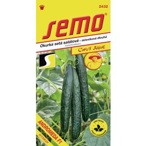 Semi Cetriolo da serra Andromeda F1 SM 4121 10s