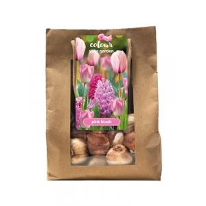 Color your garden Pink blush 25 bulbi