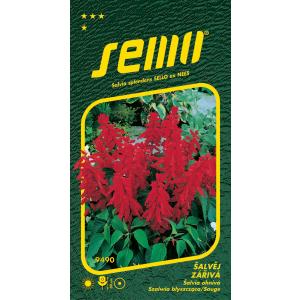 Semi Salvia radiosa Cappuccetto Rosso 0,5 g