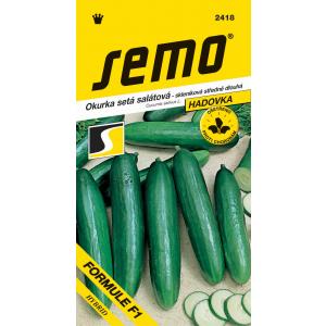Seme di cetriolo da serra Formula F1 dl 10s