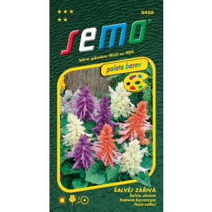 Semo Salvia, miscela brillante, 30s