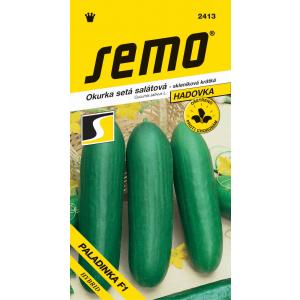 Semi di cetriolo da serra Paladinka F1 Kr 10s